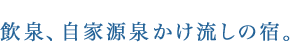 飲泉、自家源泉かけ流しの宿。